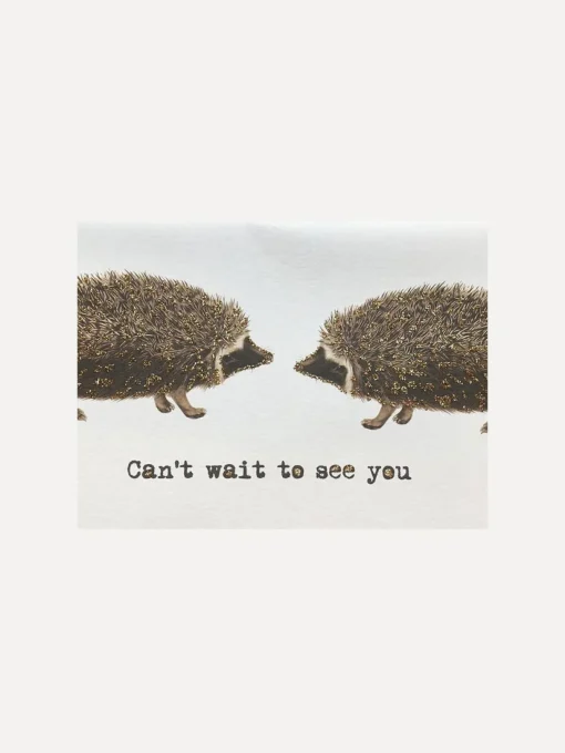 Wenskaart Hedgehog Online